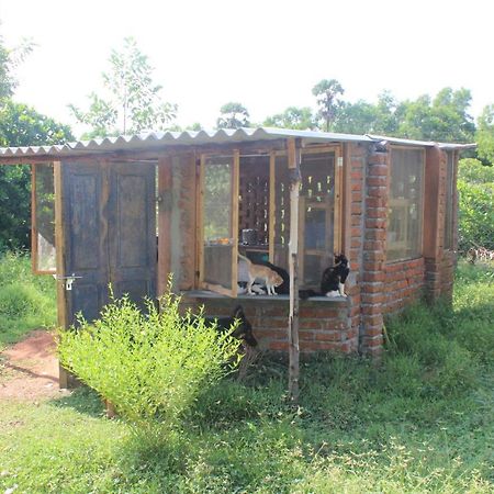Beyond Community Lejlighed Auroville Eksteriør billede
