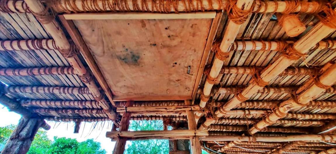 Beyond Community Lejlighed Auroville Eksteriør billede