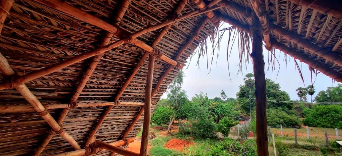 Beyond Community Lejlighed Auroville Eksteriør billede
