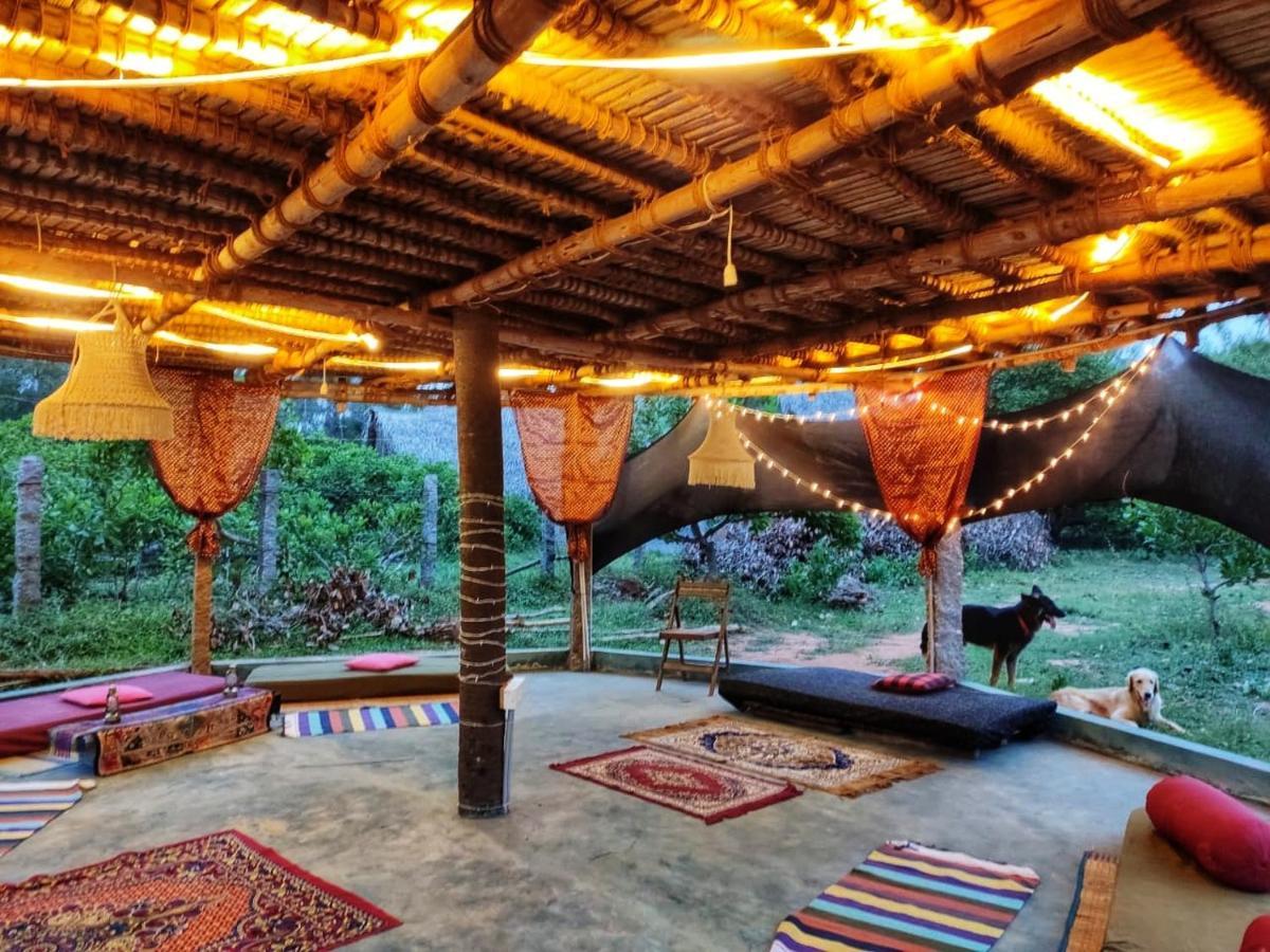 Beyond Community Lejlighed Auroville Eksteriør billede