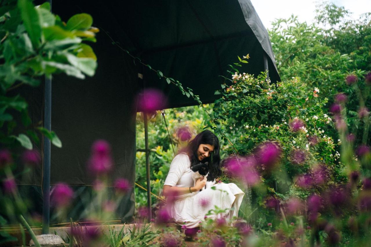 Beyond Community Lejlighed Auroville Eksteriør billede