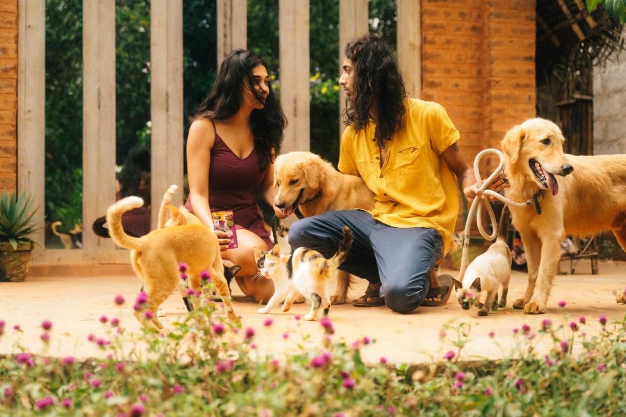 Beyond Community Lejlighed Auroville Eksteriør billede