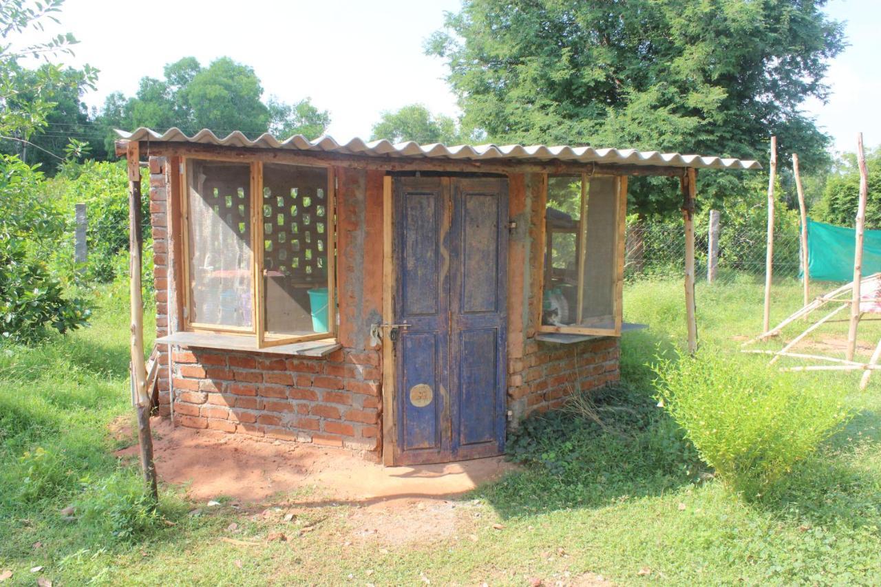Beyond Community Lejlighed Auroville Eksteriør billede