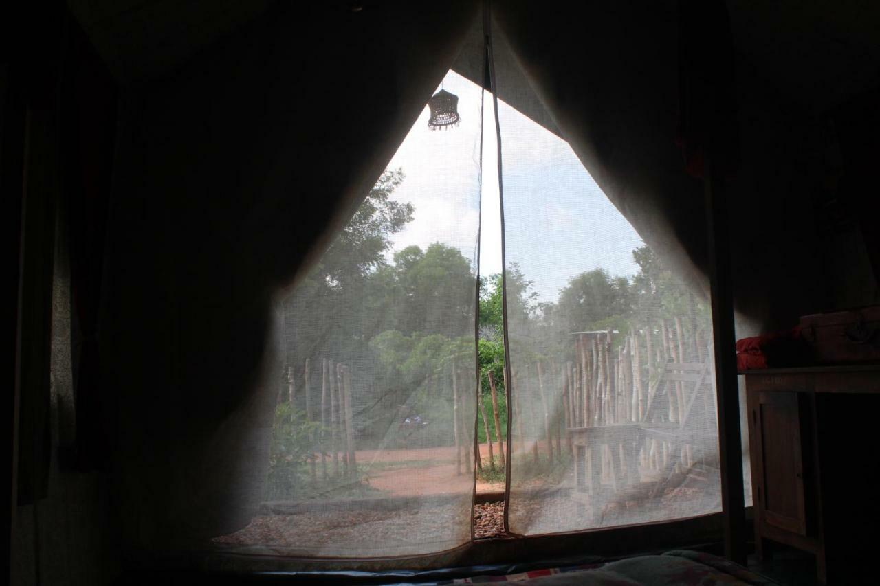 Beyond Community Lejlighed Auroville Eksteriør billede